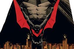 Batman : beyond the white knight.jpg