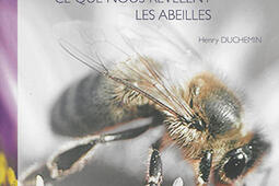 Bee happy : ce que nous révèlent les abeilles.jpg