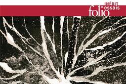 Big bang  histoire critique dune idee_Gallimard_9782070463916.jpg