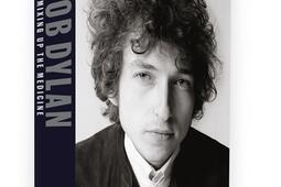 Bob Dylan  mixing up the medicine_Seghers.jpg