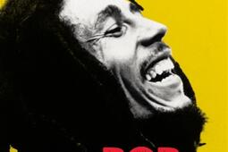 Bob Marley : le dernier prophète.jpg