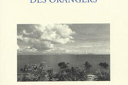 Boulevard des orangers.jpg