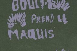 Boulie prend le maquis_Maison trouble_9782959154324.jpg