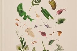 Bras : le goût de l'Aubrac.jpg