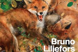 Bruno Liljefors  la Suede sauvage  Petit Palais_Beauxarts editions_9791020409492.jpg