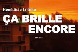 Ca brille encore_les Impressions nouvelles_9782390701033.jpg