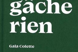 Ca ne gâche rien.jpg