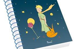 Cahier de textes : Le Petit Prince.jpg