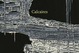 Calcaires_La veilleuse_9782889780266.jpg