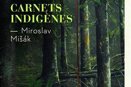 Carnets indigenes_Paulsen_9782375025321.jpg