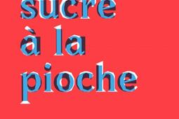 Casser du sucre a la pioche chroniques de la mo_Editions du commun_9791095630715.jpg