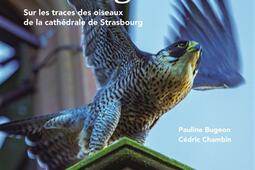 Cathédrale sauvage : sur les traces des oiseaux de la cathédrale de Strasbourg.jpg
