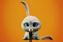 Ce matin un lapin_Fleuve editions_9782265155497.jpg