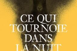 Ce qui tournoie dans la nuit_Phebus_9782752915610.jpg