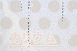 Ce territoire qui comme une pulsation_Editions des Mondes a faire_9782955573884.jpg