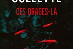 Ces orages-là.jpg