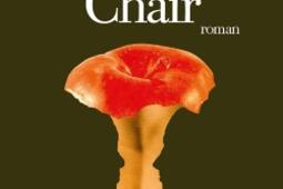 Chair_Albin Michel_9782226445995.jpg