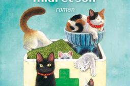 Chats sur ordonnance Un chat matin midi et soir_Albin Michel_9782226500090.jpg