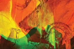 Chauvet : l'aventure intérieure. Chauvet : inner space.jpg