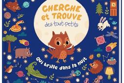 Cherche et trouve des tout-petits : qui brille dans la nuit.jpg
