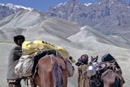 Chevauchees afghanes  dans les hauteurs de lHin_Ginkgo_9782846796293.jpg