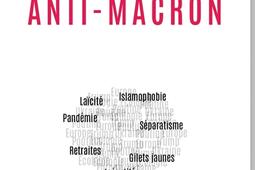 Chronique des années anti-Macron.jpg