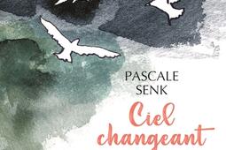 Ciel changeant : haïkus du jour et de la nuit.jpg