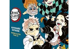 Coffret Demon slayer : tome 22 + roman tome 3.jpg