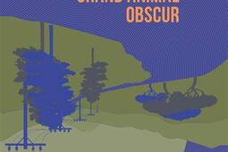 Comme un grand animal obscur_Editions La Contreallee_9782376651789.jpg
