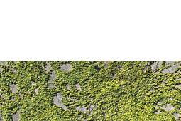 Comment pardonner.jpg