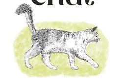 Comprendre son chat_Tana_9791030106206.jpg