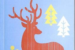 Contes et legendes de Laponie_Magellan  Cie_9782350747644.jpg