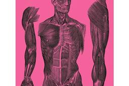 Creatine_Gallimard_9782073026590.jpg