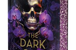 Cruels garcons perdus Vol 2 The dark one_Ronciere.jpg