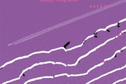 Cycle des exils Vol 6 GadjoMigrandt_Flammarion_9782081307254.jpg