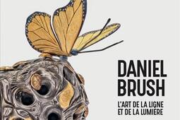 Daniel Brush  lart de la ligne et de la lumiere_Beauxarts editions_9791020410764.jpg