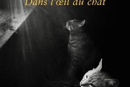 Dans l'oeil du chat.jpg