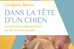 Dans la tête d'un chien : les dernières découvertes sur le cerveau animal.jpg