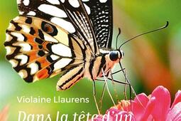 Dans la tete dun papillon  ecologie et evolut_Belin_9782410031560.jpg