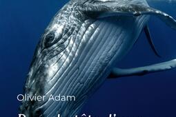 Dans la tete dune baleine_Humensciences_9791040301431.jpg