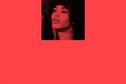 Davis_Les peregrines_9791025206058.jpg