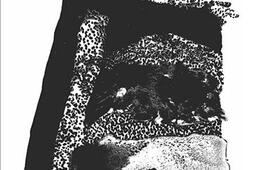 De main en main : plus que des recettes, des souvenirs.jpg