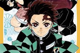 Demon slayer  Kimetsu no yaiba Vol 1 Tanjiro et Nezuko lorigine de leur destin  roman jeunesse_Panini comics.jpg