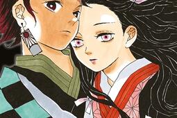 Demon slayer : Kimetsu no yaiba. Vol. 1.jpg