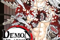 Demon slayer : Kimetsu no yaiba. Vol. 22.jpg