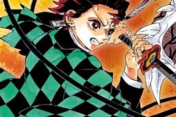 Demon slayer : Kimetsu no yaiba. Vol. 23.jpg