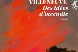 Des idees dincendie_Phebus_9782752915672.jpg