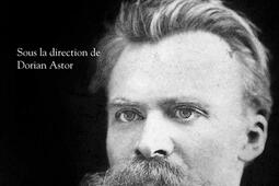 Dictionnaire Nietzsche_R Laffont_9782221200391.jpg