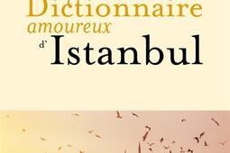Dictionnaire amoureux d'Istanbul.jpg