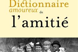 Dictionnaire amoureux de lamitie_Plon_9782259312882.jpg